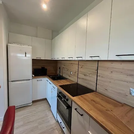 Dom Pod Wisnia Apartamento Giżycko